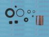 AUTOFREN SEINSA D42195C Repair Kit, brake caliper